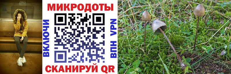 Галлюциногенные грибы Cubensis  Чусовой 